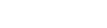 Valvulas Leive